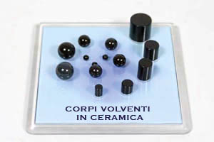 Ceramic roller bearings